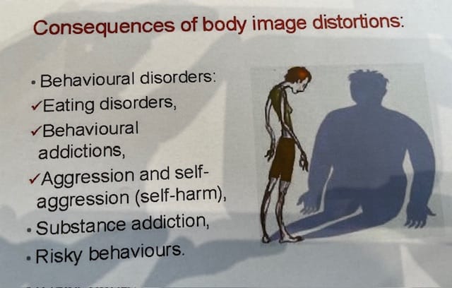 Eating disorders ; Food and Mental Health